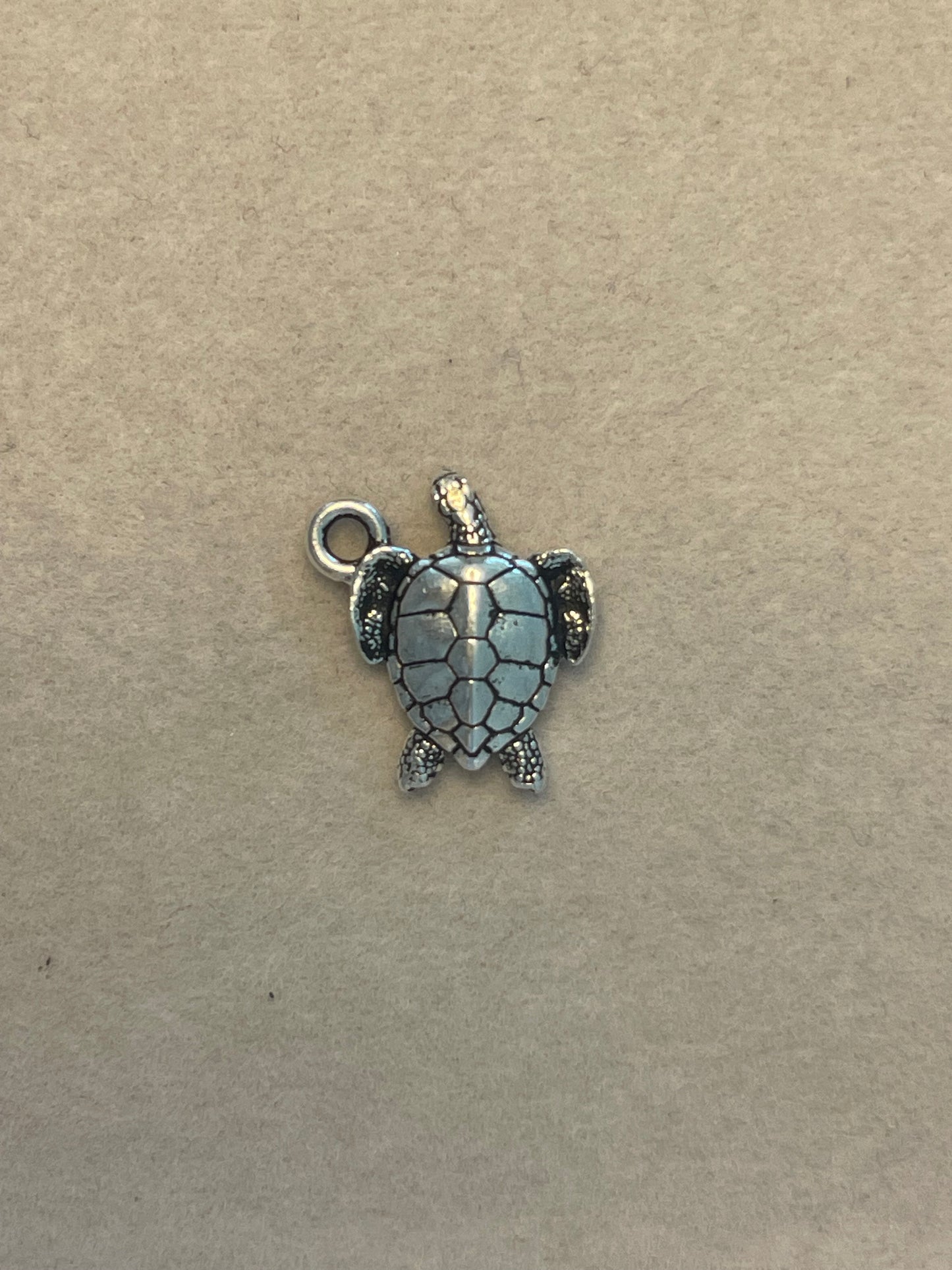 Sea Turtle Silver