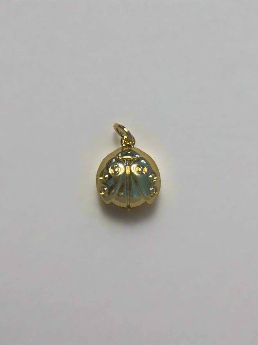 Mini Ladybug