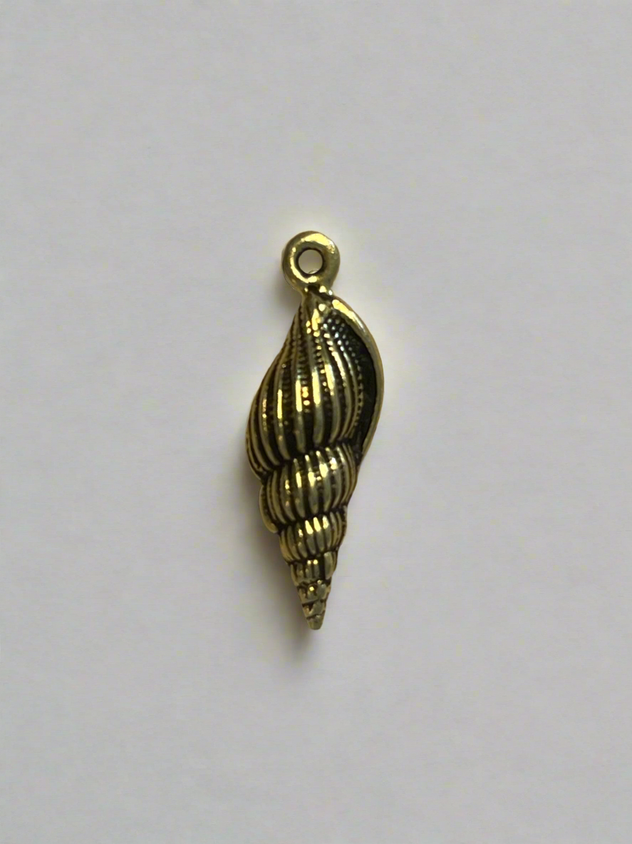 Large Spindle Shell