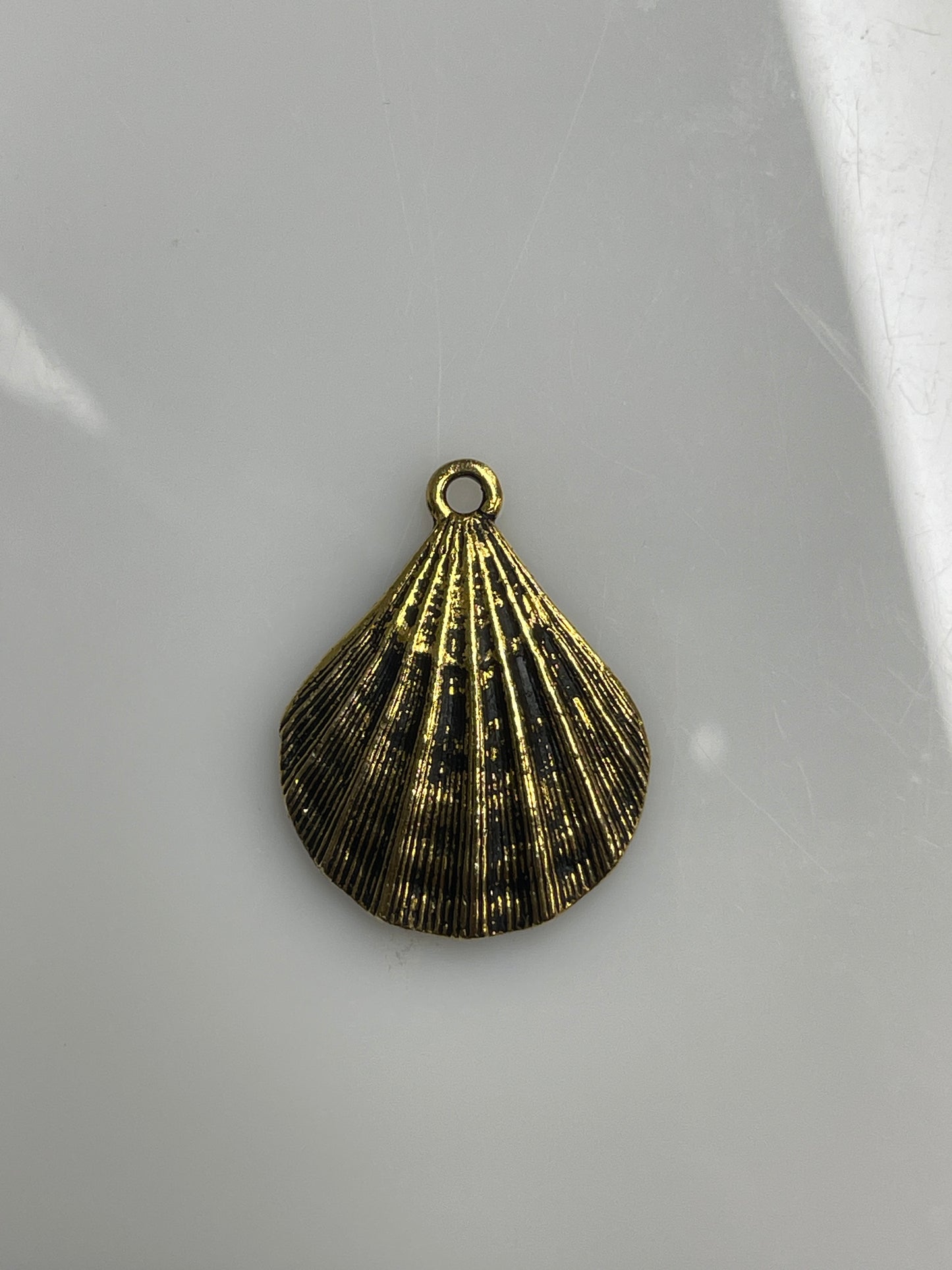 Jumbo Scallop Shell