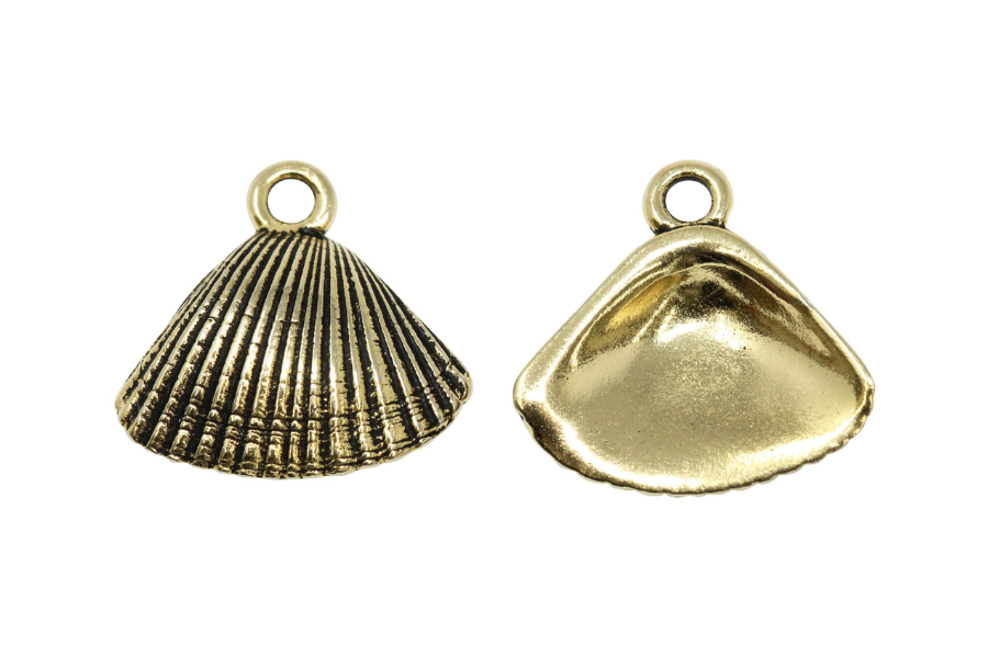 Sea Shell