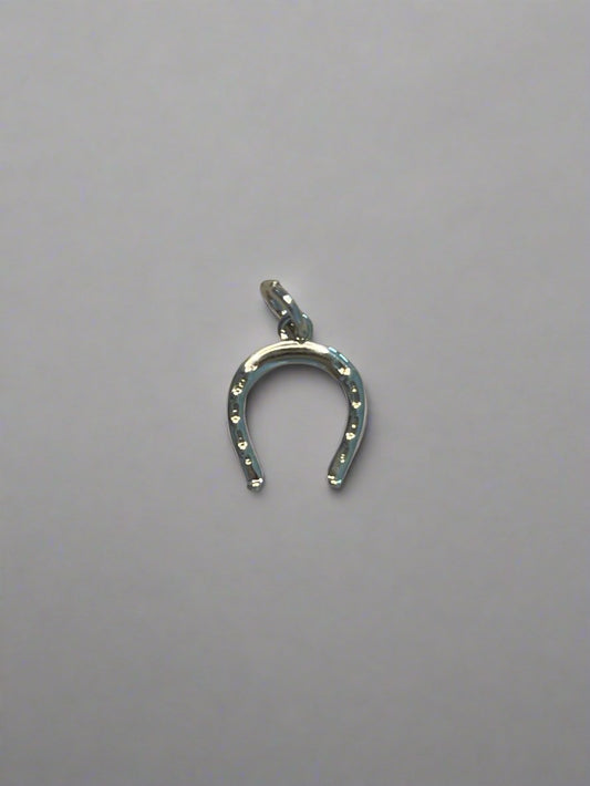 Shiny Horseshoe Silver