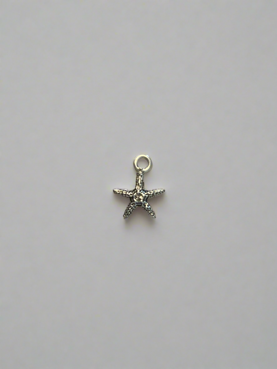 Tiny Starfish Silver