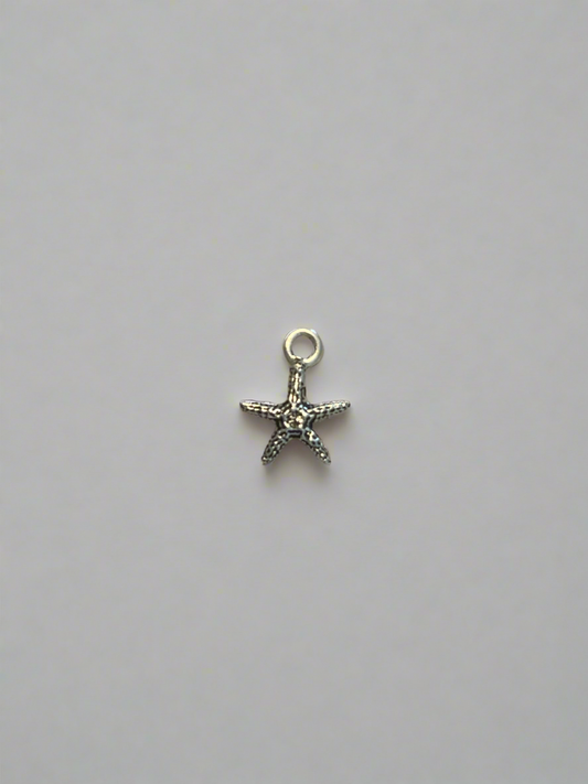 Tiny Starfish Silver