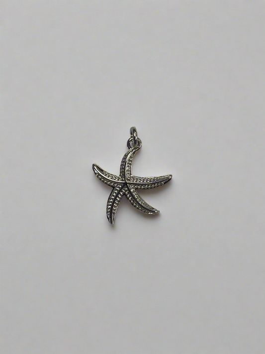 Silver Starfish