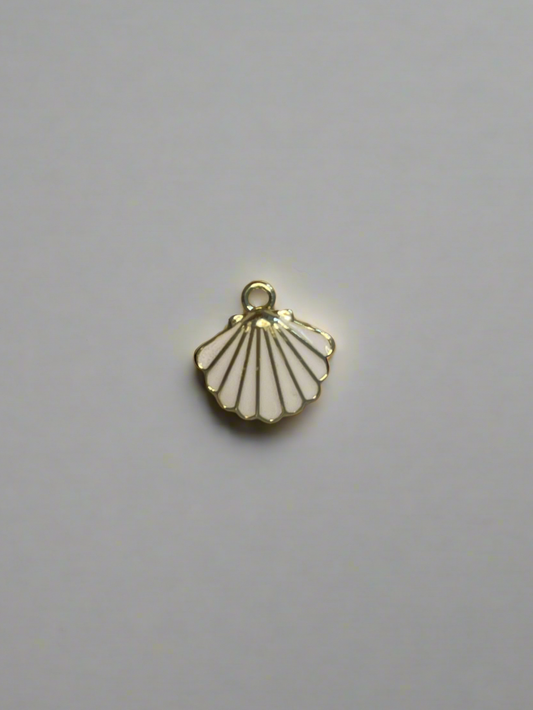 Scallop Shell